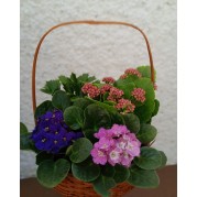 Cesta de flores 