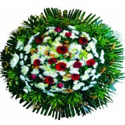 COROA DE FLORES - MASTER 01!