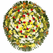 COROA DE FLORES - MASTER 03!