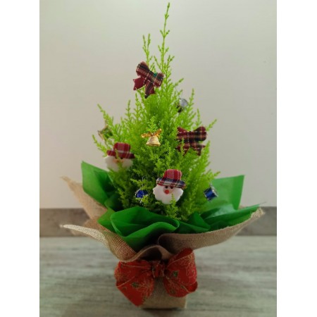 TUIA DECORADA 