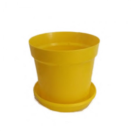Vaso T-12 Arco Iris Amarelo 
