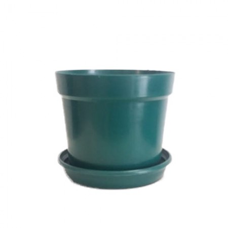 Vaso T-12 Arco Iris  Verde Musgo