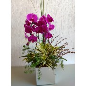 Orquídea para presente em peça de vidro espelhado. 