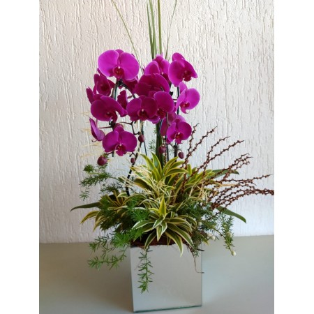 Orquídea para presente em peça de vidro espelhado. 
